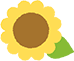 ひまわり